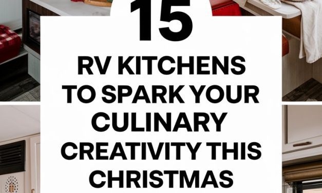 15 RV Kitchens to Spark Your Culinary Creativity This Christmas