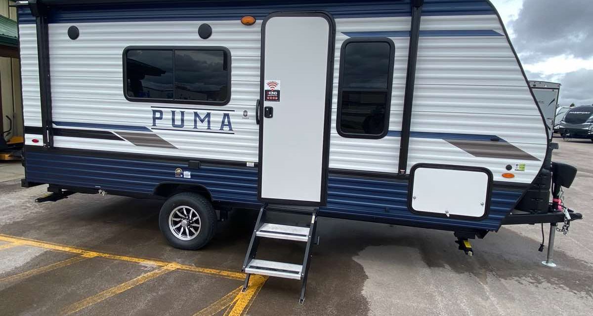 Don’s Palomina Puma (Member Spotlight!)