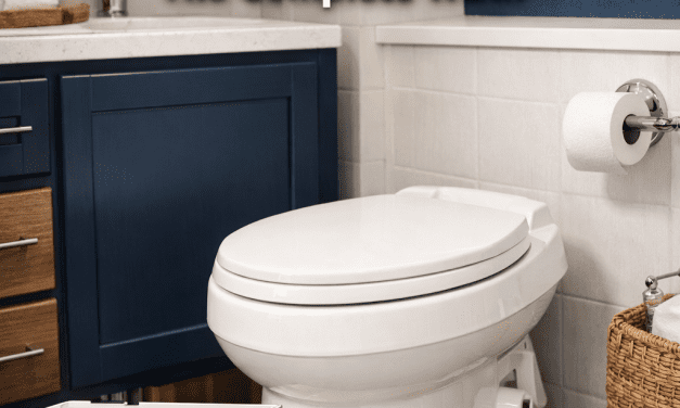 Can you Poop in an RV Toilet?